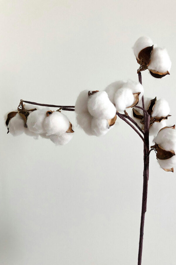 Fondant - Fleur de coton – Image 2